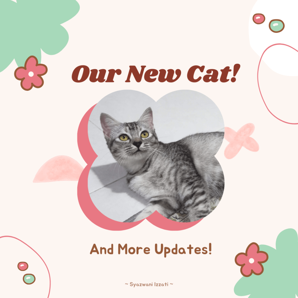 We Adopted a New&nbsp;Kitty!