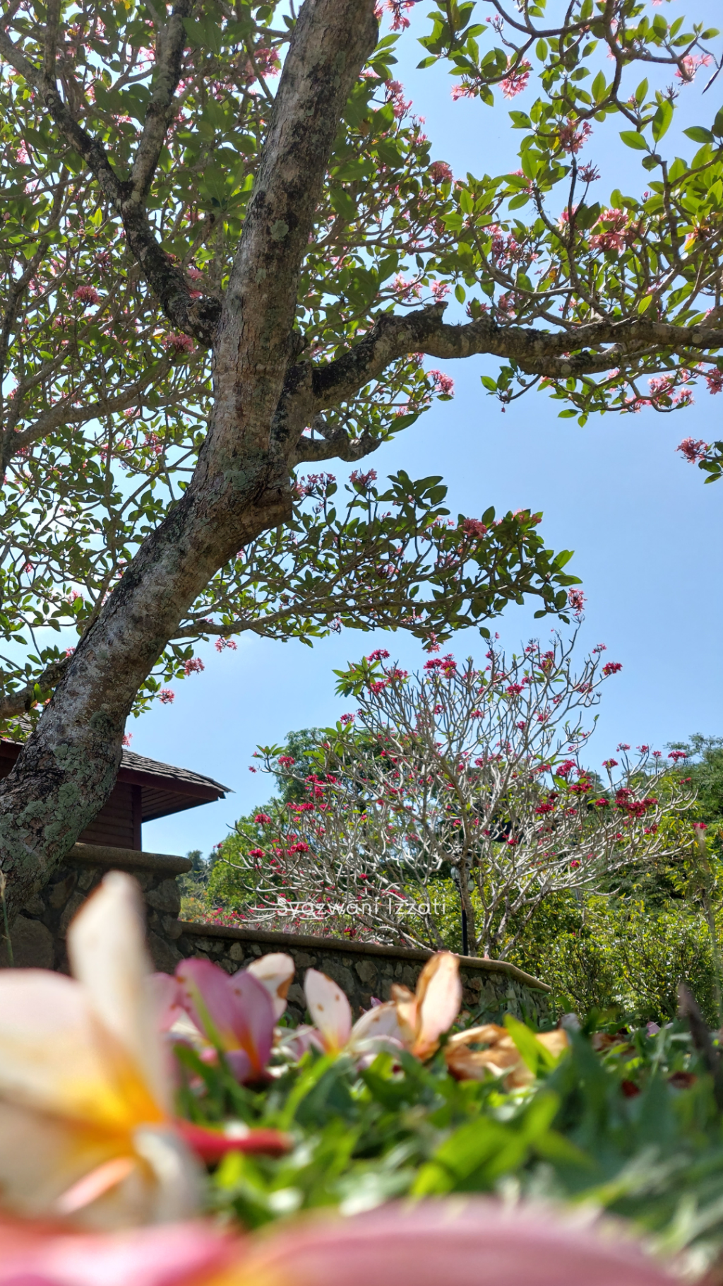 🚗Travelling Around Ipoh and the Places We&nbsp;Visited