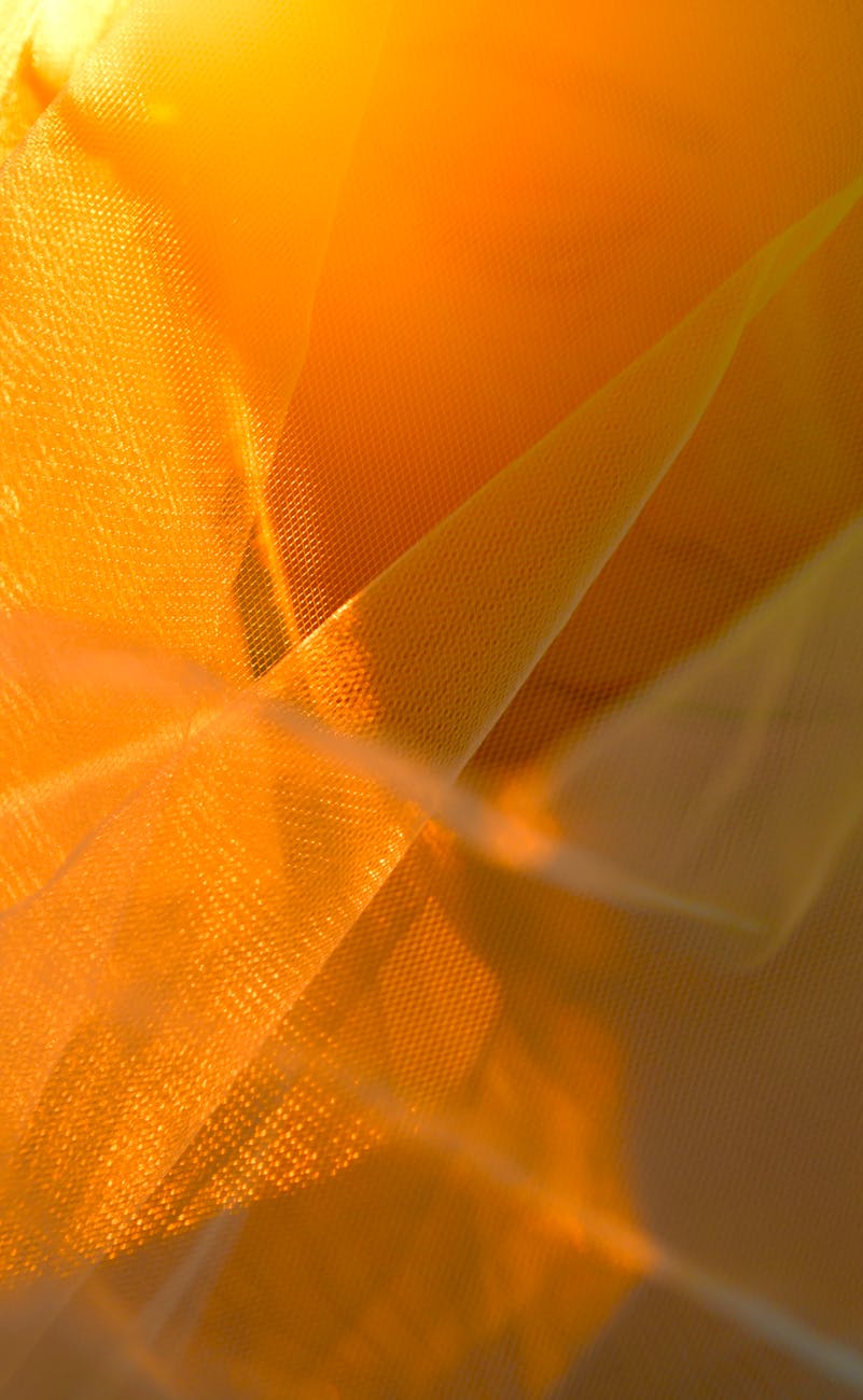 How Was Your&nbsp;Weekday?🌻